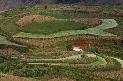 Photo of Dongchuan Red Land: A Paradise of Southern China Where You Can't Stop Clicking by Come Cross the Line
