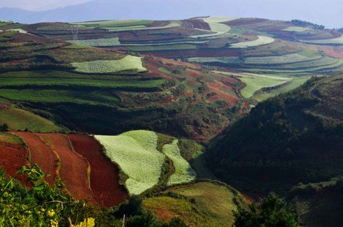 Photo of Huashitou, Kunming, Yunnan, China by Come Cross the Line