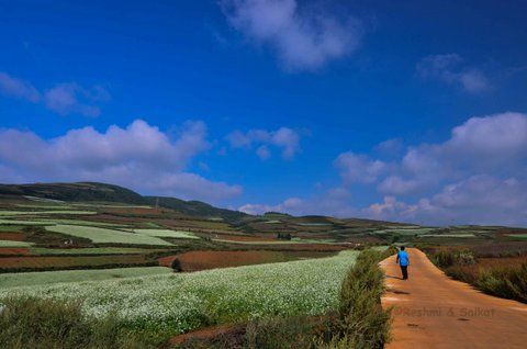 Photo of Dongchuan Red Land: A Paradise of Southern China Where You Can't Stop Clicking by Come Cross the Line