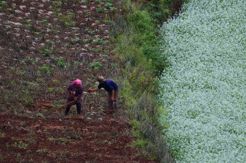Photo of Dongchuan Red Land: A Paradise of Southern China Where You Can't Stop Clicking by Come Cross the Line