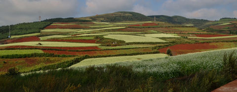 Photo of Dongchuan Red Land: A Paradise of Southern China Where You Can't Stop Clicking by Come Cross the Line
