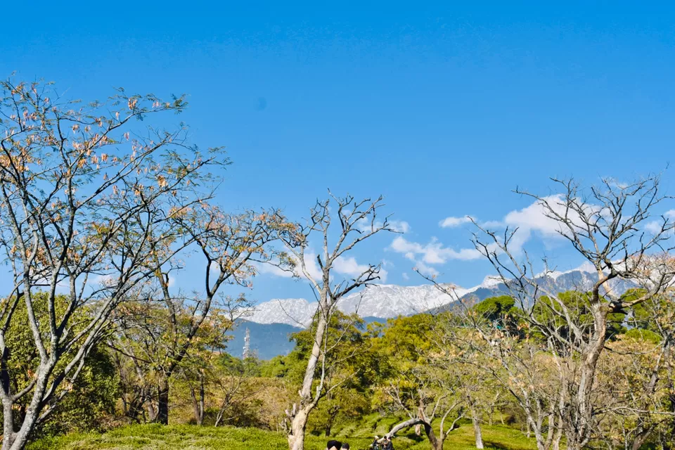 Photo of Kangra, Himachal Pradesh, India by Deeksha Gautam
