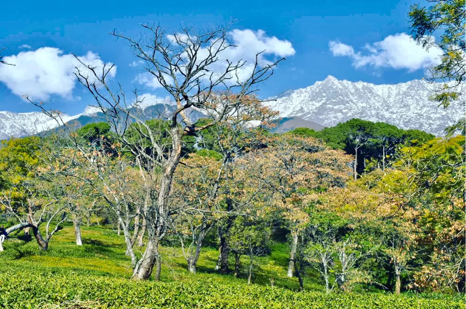 Photo of Kangra, Himachal Pradesh, India by Deeksha Gautam