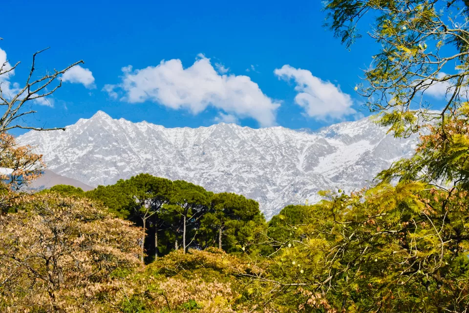 Photo of Kangra, Himachal Pradesh, India by Deeksha Gautam