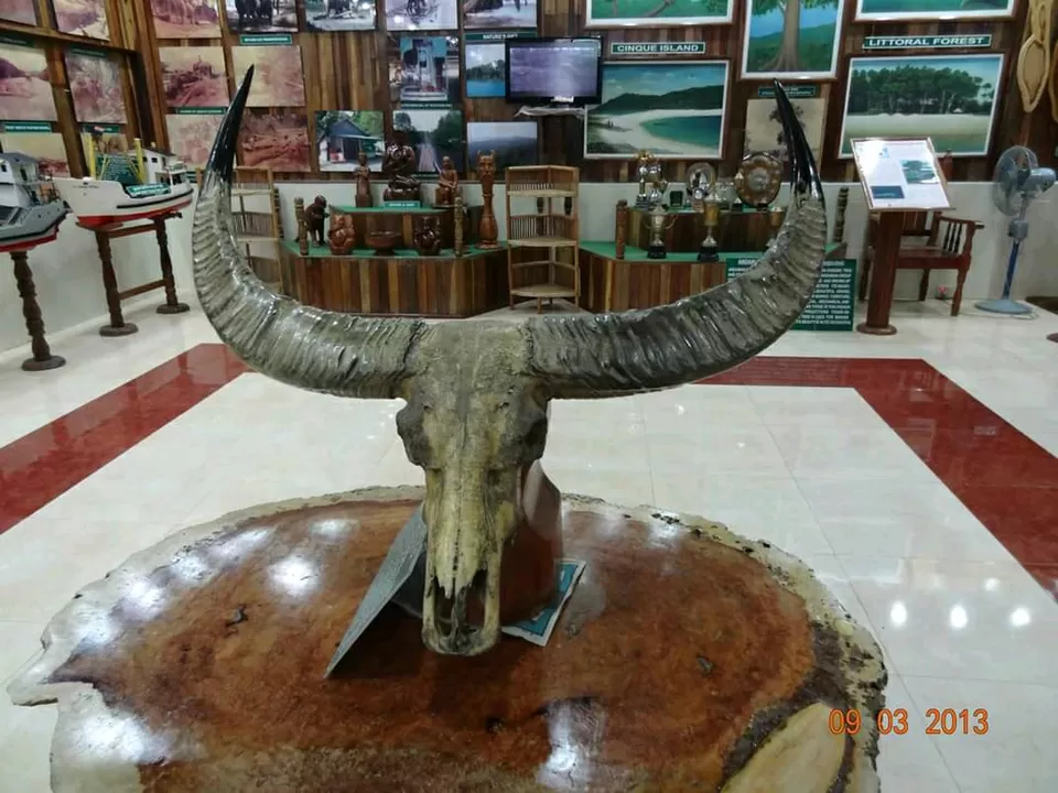 Photo of Chatham Saw Mill, Haddo, Port Blair, Andaman and Nicobar Islands, India by Arijit Mullick