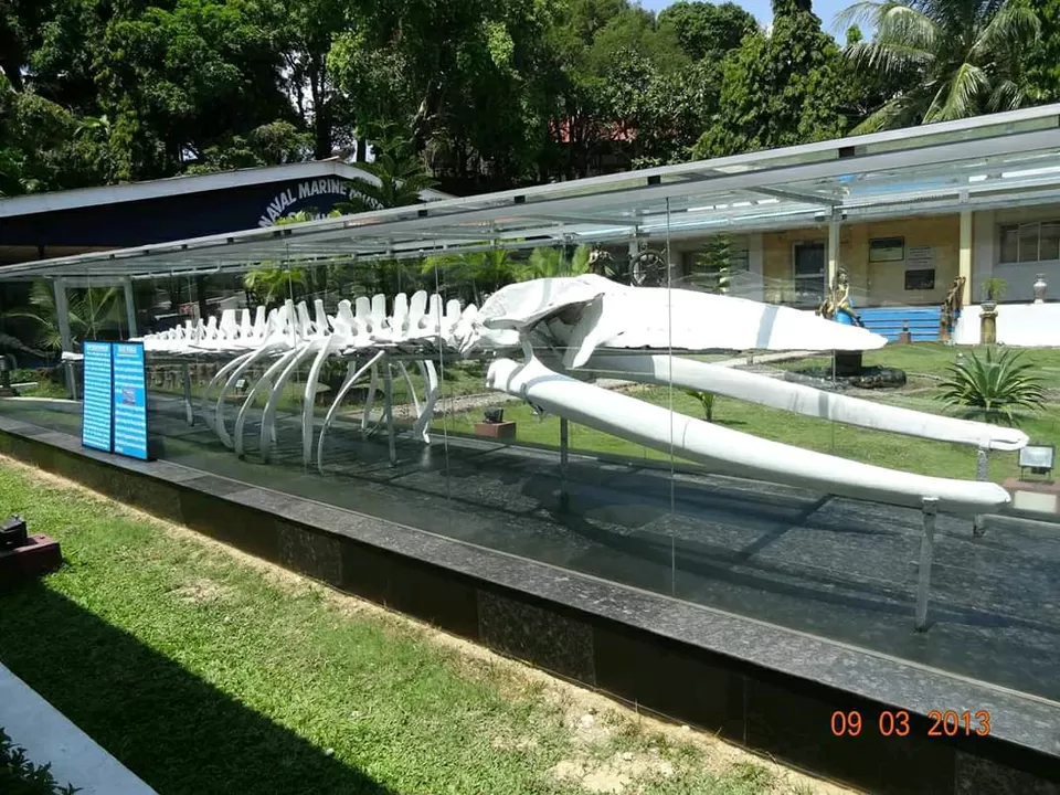 Photo of Zonal Anthropological Museum, Thomas Colony, Junglighat, Port Blair, Andaman and Nicobar Islands, India by Arijit Mullick
