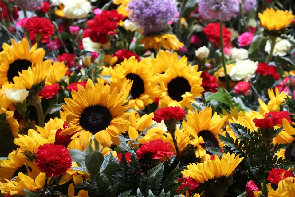 Photo of Girona Flower Festival by Arijit Mullick