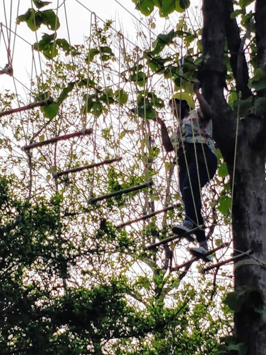 Photo of Bijrani.camp.off Kosi, Uttarakhand, India by Reena Yadav