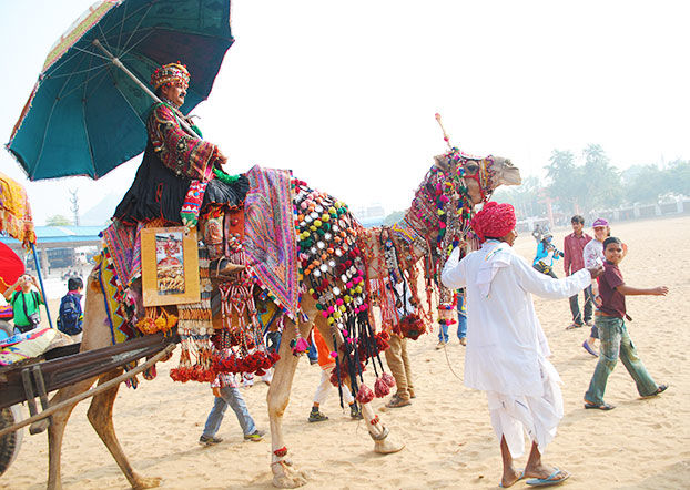 Photo of What makes Pushkar Camel Fair exclusive in Rajasthan? 2/3 by Jaisalmer And Around