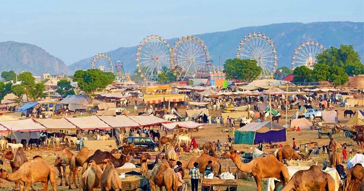 Photo of What makes Pushkar Camel Fair exclusive in Rajasthan? 3/3 by Jaisalmer And Around