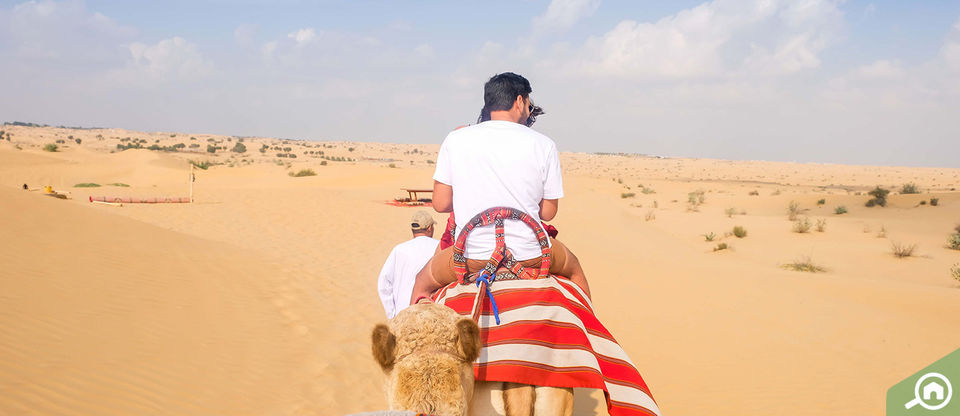 Photo of Spectacular Vacation in Dubai 1/1 by himelchakam
