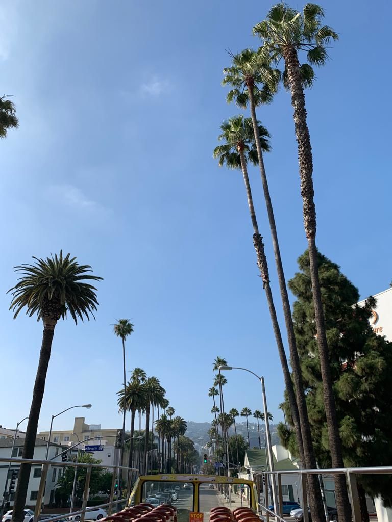 Photo of Los Angeles Travel Blog 27/27 by Sherinscorner