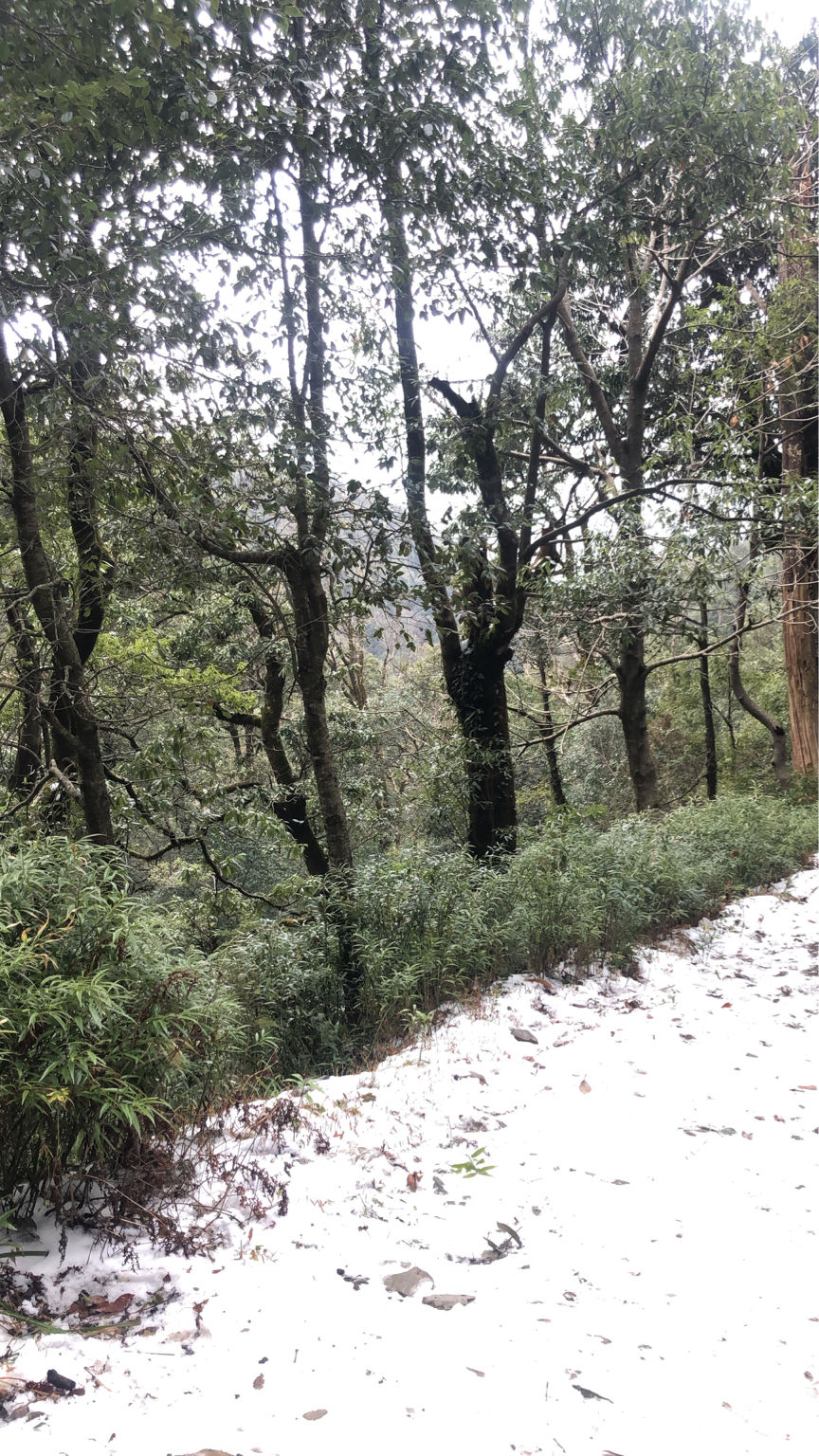 Photo of Bhimtal, Uttarakhand, India by gagandeep marwah