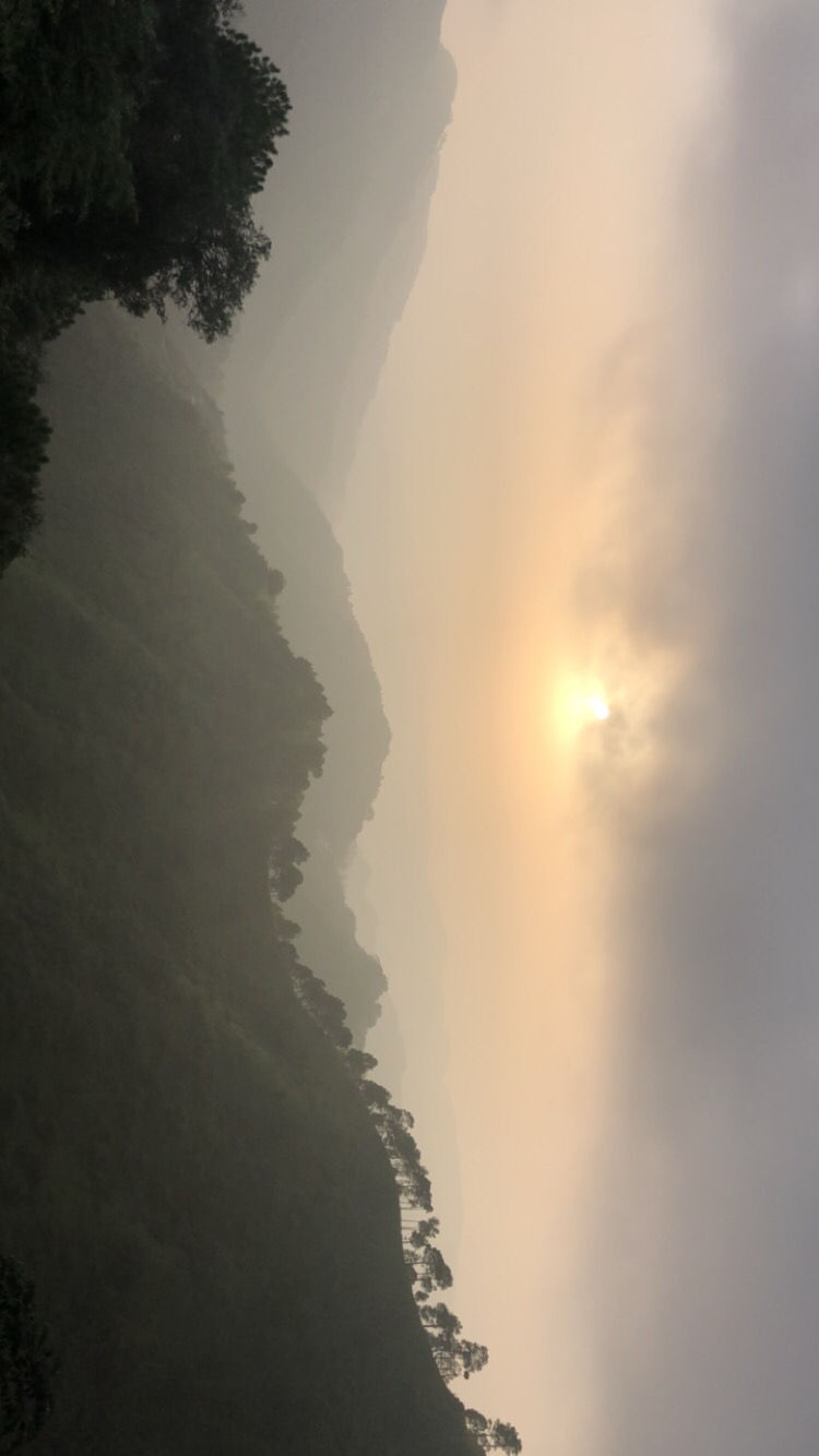 Photo of Shoghi, Himachal Pradesh, India by gagandeep marwah