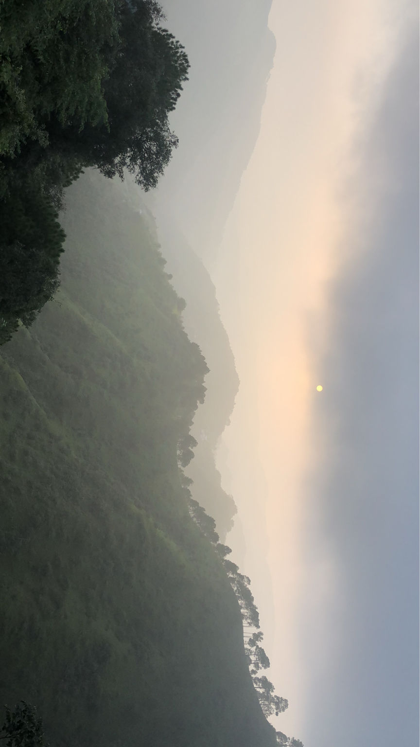 Photo of Shoghi, Himachal Pradesh, India by gagandeep marwah