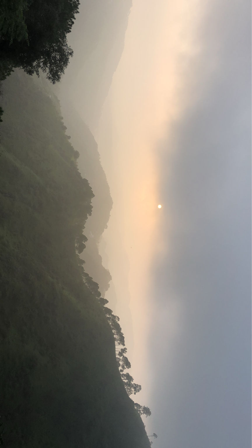 Photo of Shoghi, Himachal Pradesh, India by gagandeep marwah