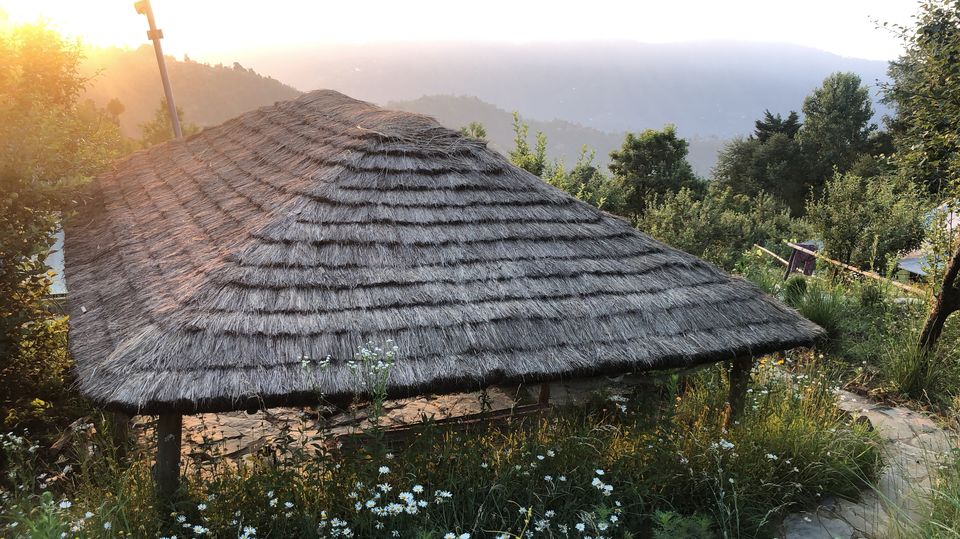 Photo of Camping At Mukteshwar by gagandeep marwah