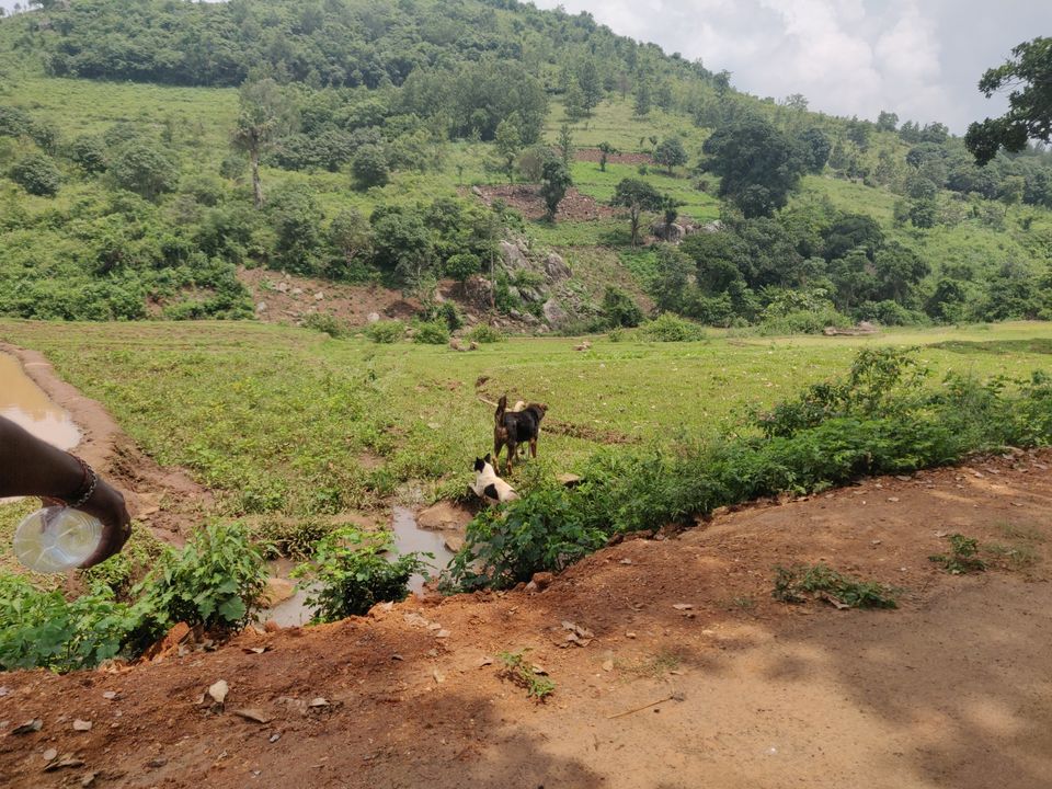 Photo of Apple Resorts, Araku Valley, Andhra Pradesh, India by venkat santhosh