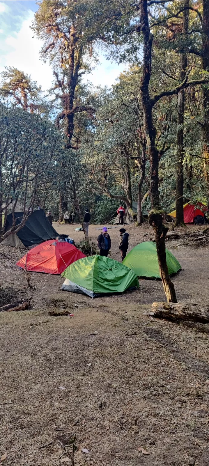 Photo of Bekaltal by Sakshi Futela