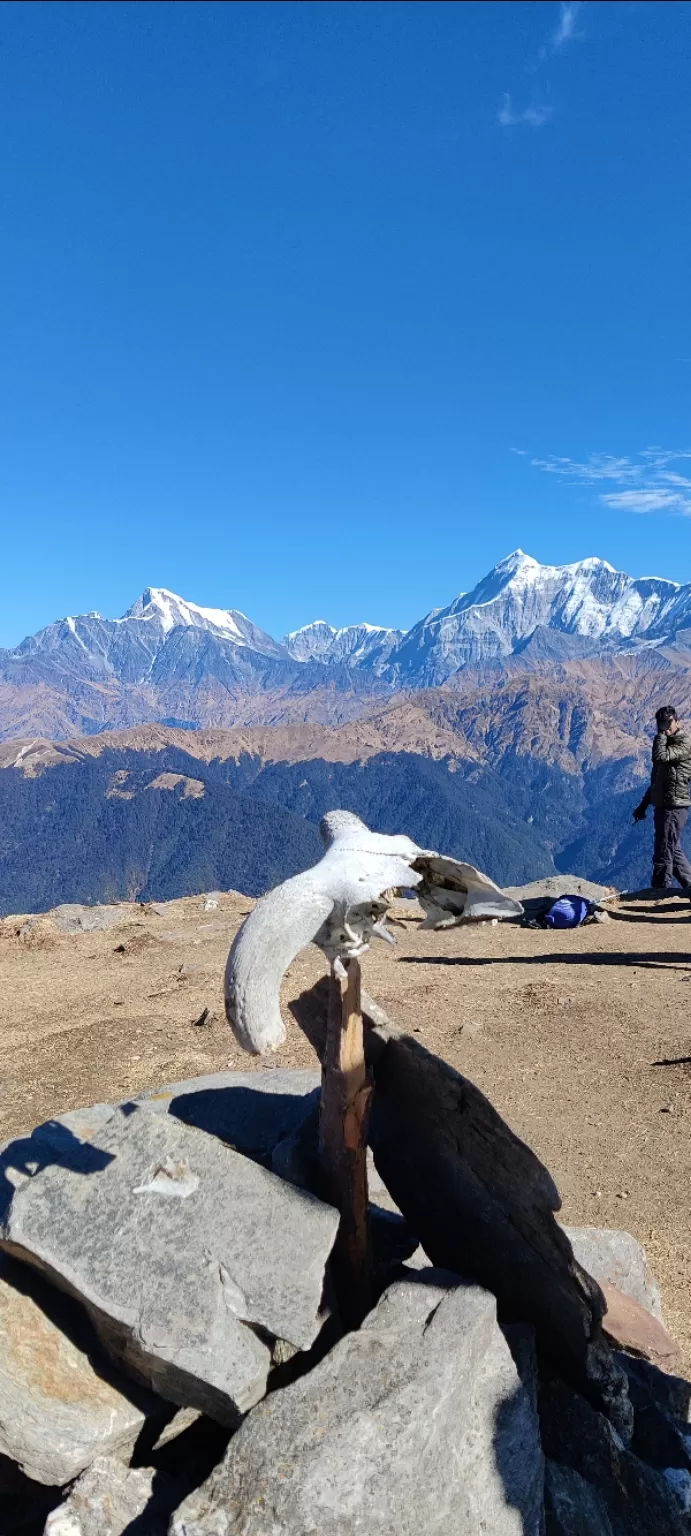 Photo of Brahmatal Trekking by Sakshi Futela