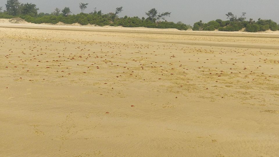 Photo of Mandarmani, West Bengal, India by Priya Sinha