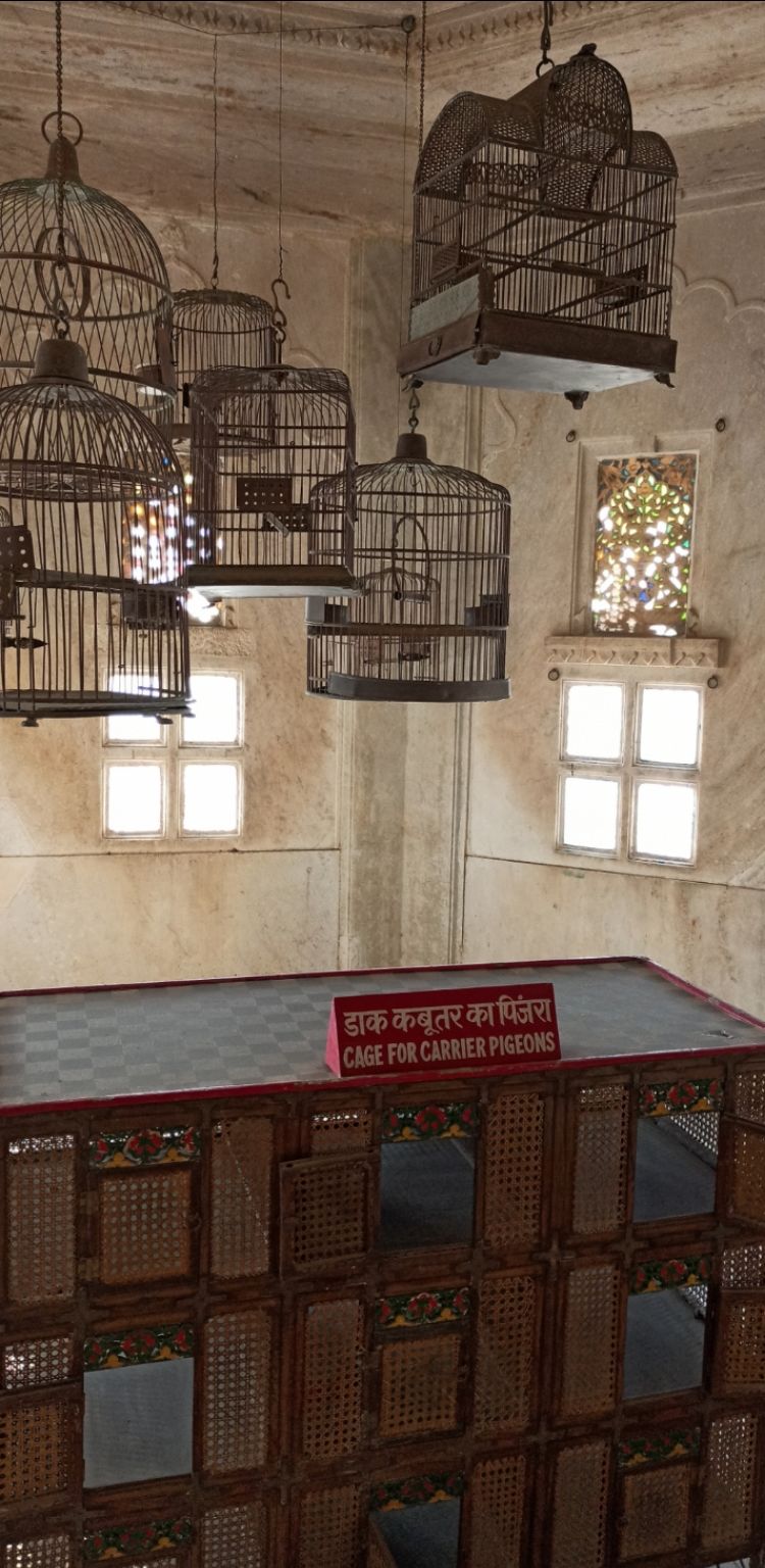 Photo of Udaipur by Sarthak Bendel