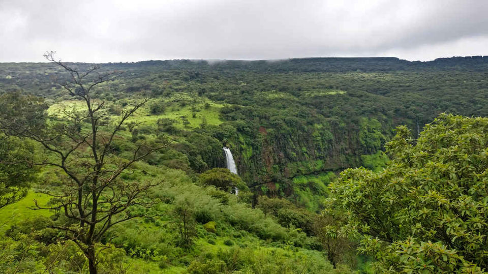 Photo of Kaas Plateau : A Day Trip From Pune by Rujutaa and Mahesh