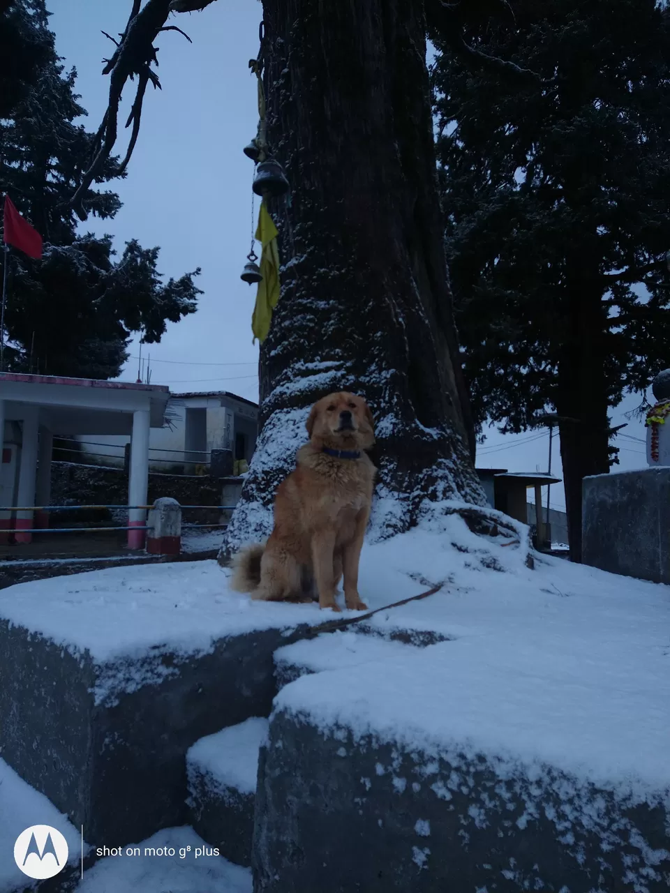 Photo of Lohajung - Wan Road, Kuling, Uttarakhand, India by Yash Soorma