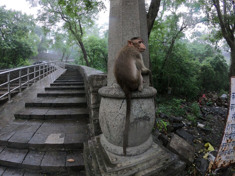 Photo of Sanjay Gandhi National Park || Kanheri Caves by TheIndianChineseGuy