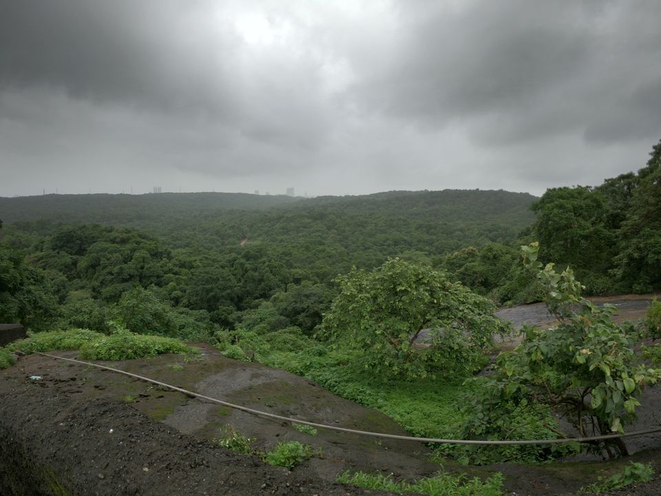 Photo of Sanjay Gandhi National Park || Kanheri Caves by TheIndianChineseGuy