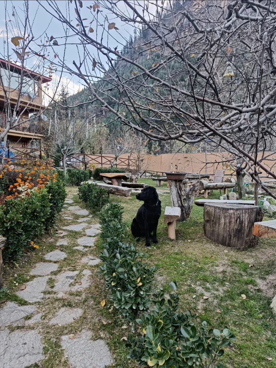 Photo of Manali by Vanshika Malhotra