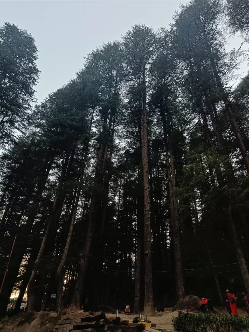 Photo of Exploring Old Manali by Vanshika Malhotra