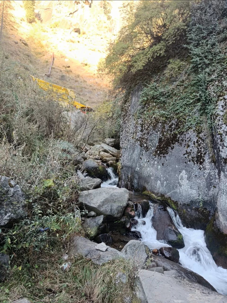 Photo of Exploring Old Manali by Vanshika Malhotra