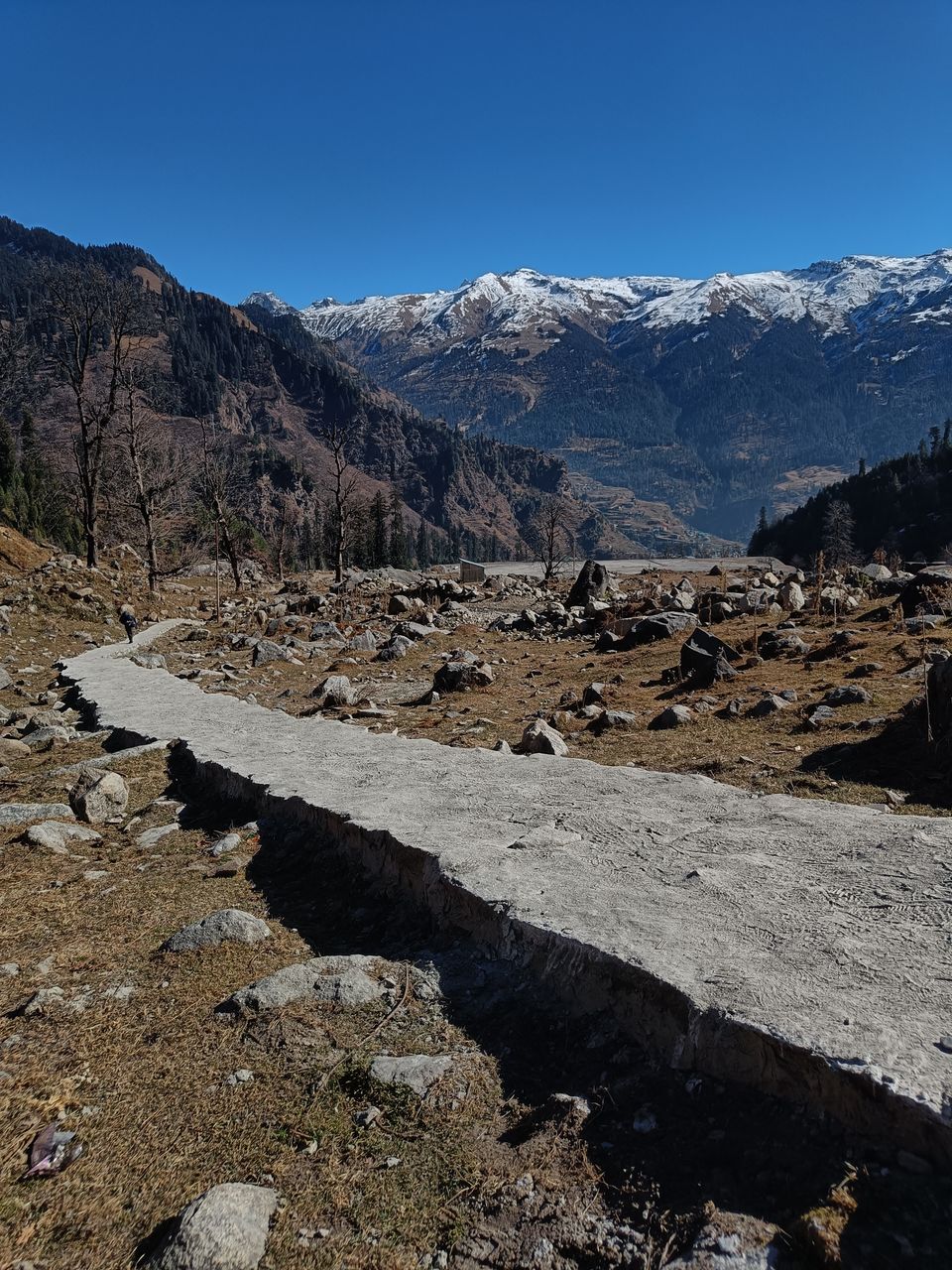 Photo of Exploring Old Manali by Vanshika Malhotra