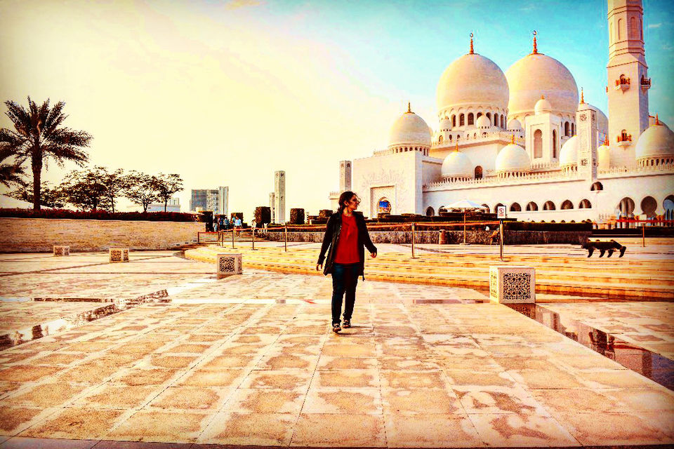 Photo of Sheikh Zayed Mosque - Abu Dhabi - United Arab Emirates by Hiphipholiday
