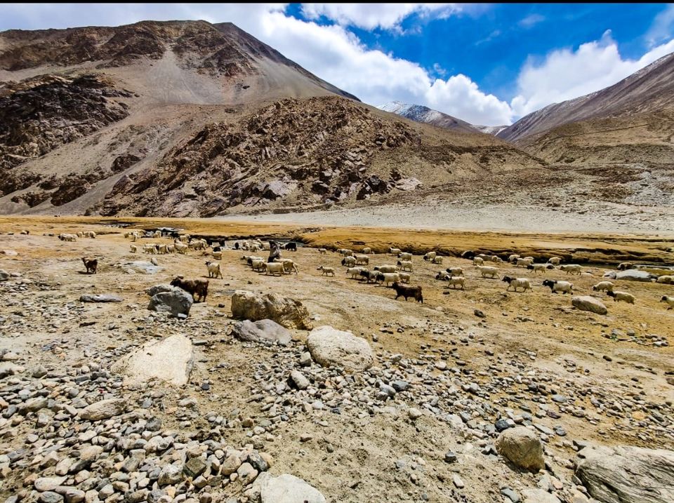 Photo of LEH-LADAKH.....that's once in a lifetime experience by thewanderingsouls
