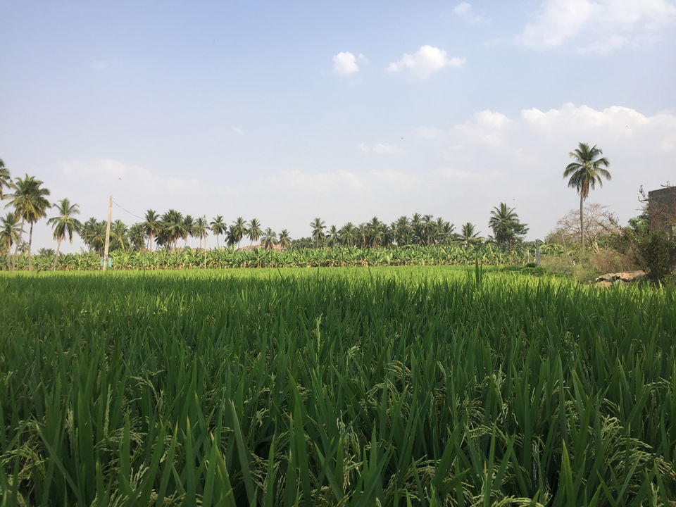 Photo of A Solo Backpacking Trip To Hampi Under 7000 Rs by Shivam Singh