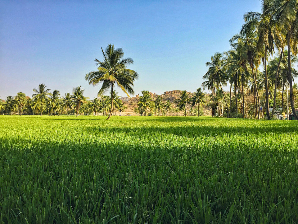 Photo of A Solo Backpacking Trip To Hampi Under 7000 Rs by Shivam Singh