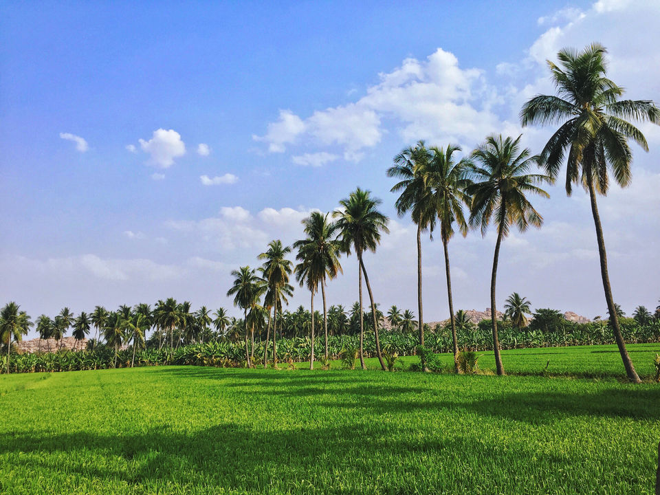 Photo of A Solo Backpacking Trip To Hampi Under 7000 Rs by Shivam Singh