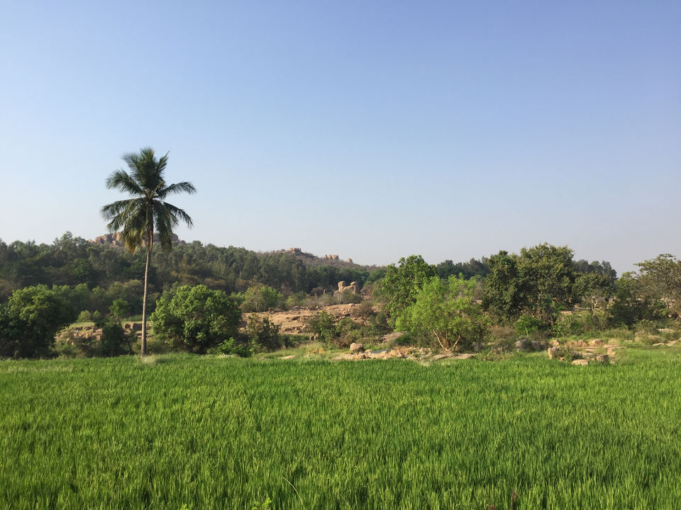 Photo of A Solo Backpacking Trip To Hampi Under 7000 Rs by Shivam Singh