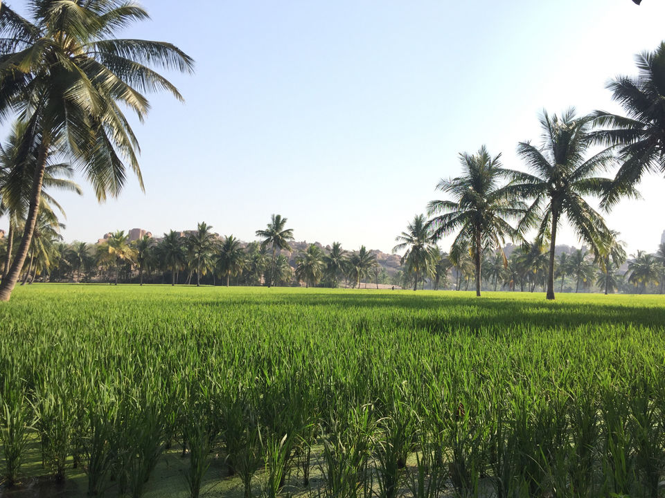 Photo of A Solo Backpacking Trip To Hampi Under 7000 Rs by Shivam Singh