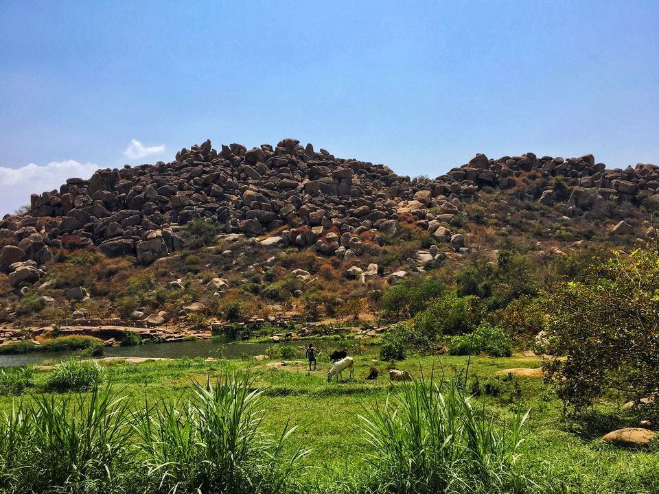 Photo of A Solo Backpacking Trip To Hampi Under 7000 Rs by Shivam Singh