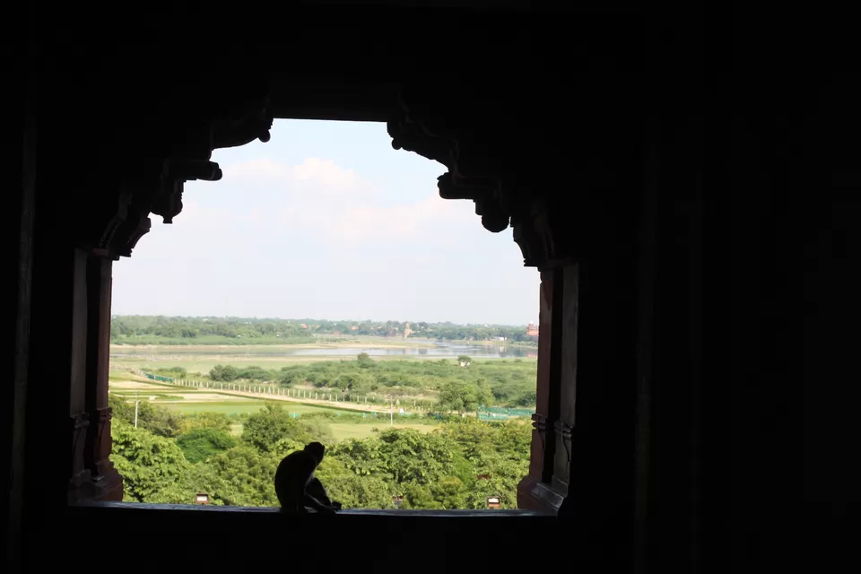 Photo of Journey to the symbol of love-The taj mahal by Aditya Bansal