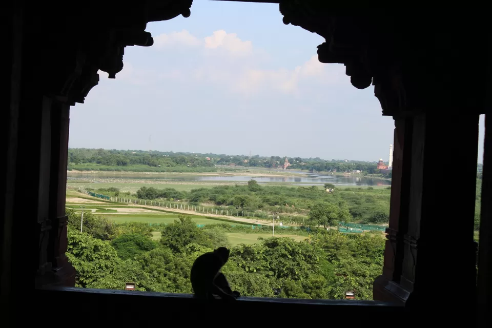 Photo of Journey to the symbol of love-The taj mahal by Aditya Bansal