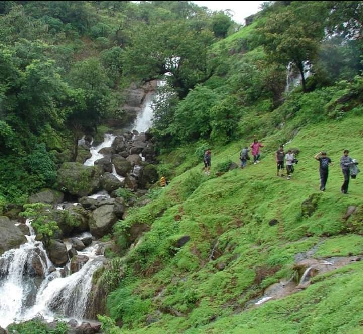 Photo of The perfect monsoon trek #Bhimashakartrek #maharashtratrek by Madhu Sharma