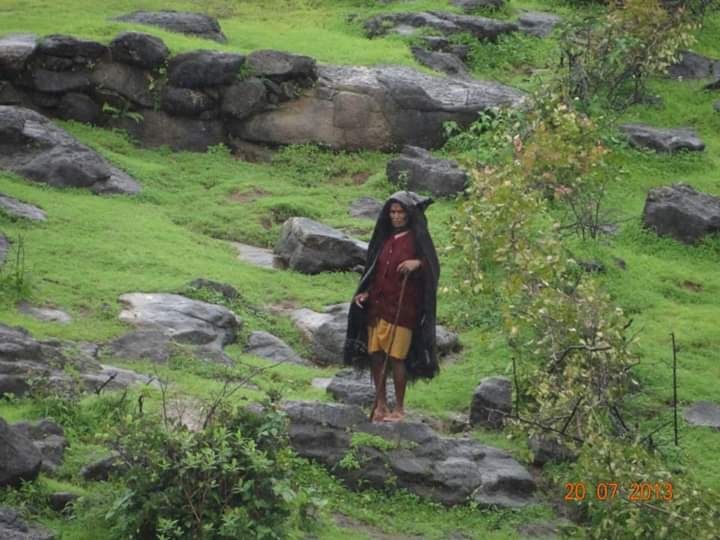 Photo of The perfect monsoon trek #Bhimashakartrek #maharashtratrek by Madhu Sharma