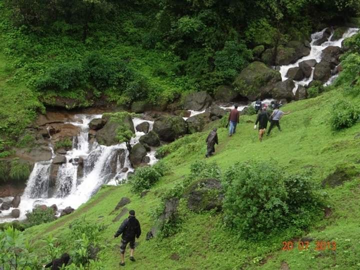 Photo of The perfect monsoon trek #Bhimashakartrek #maharashtratrek by Madhu Sharma