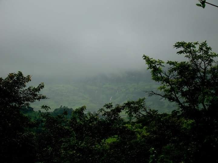 Photo of The perfect monsoon trek #Bhimashakartrek #maharashtratrek by Madhu Sharma