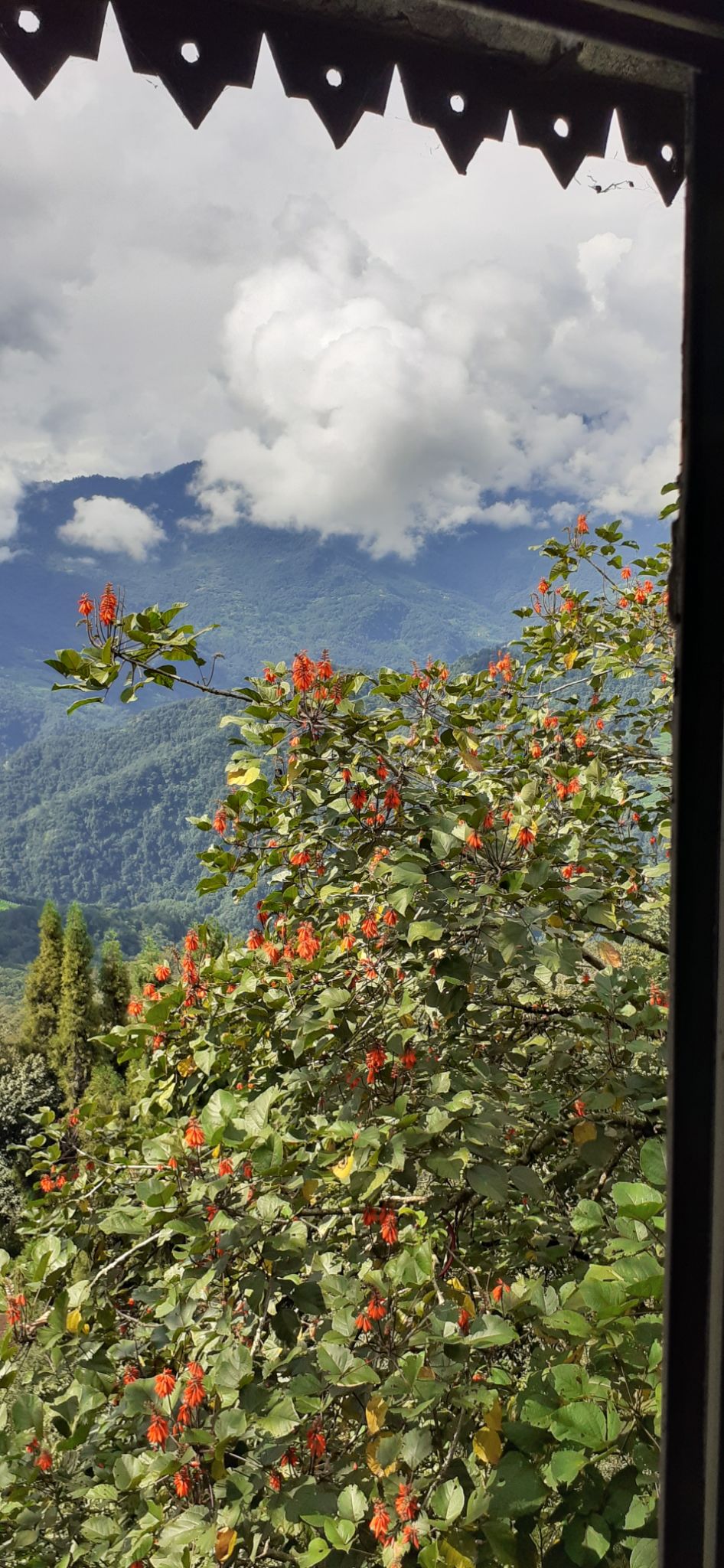 Photo of Gangtok, Sikkim, India by Madhu Sharma