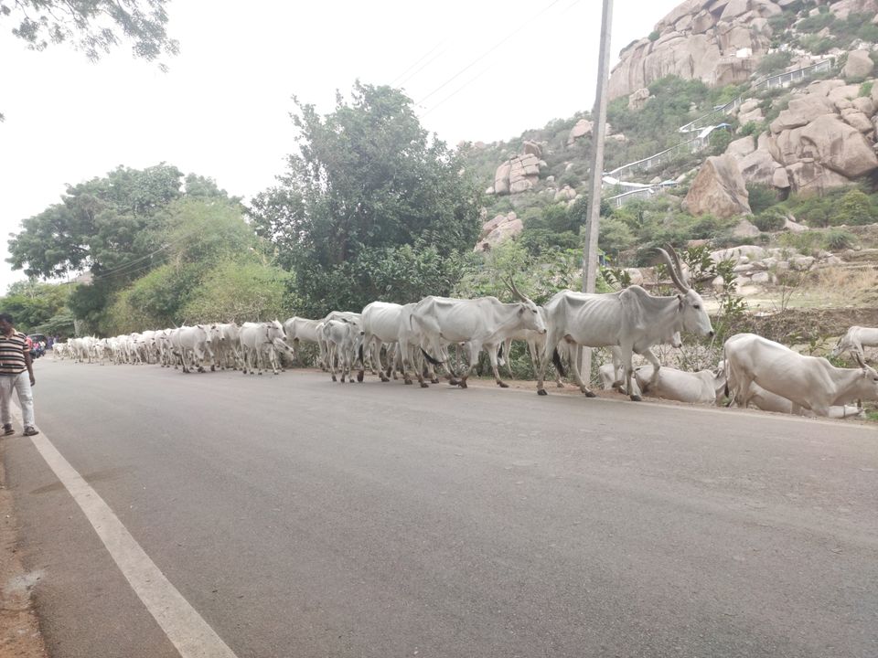 Photo of Travel diary by SREEKANTH